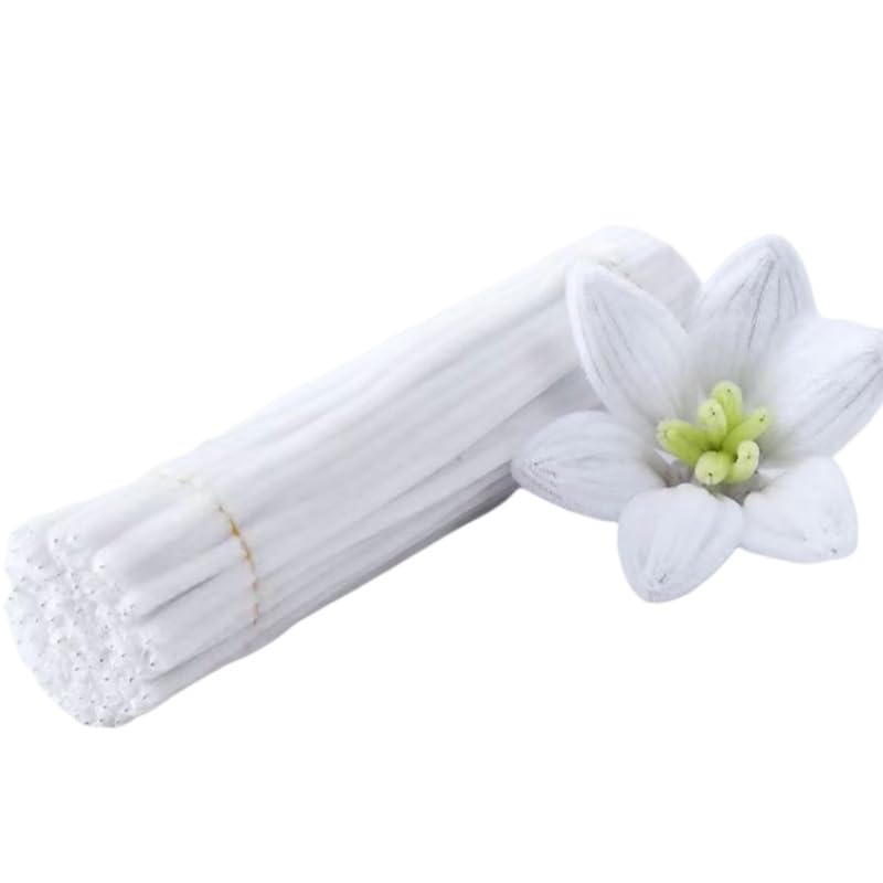 100 Pieces Pipe Cleaners Chenille Stem, Solid White Color Pipe Cleaners Set for Pipe Cleaners DIY Arts Crafts Decorations, Chenille Stems Pipe Cleaners (White)