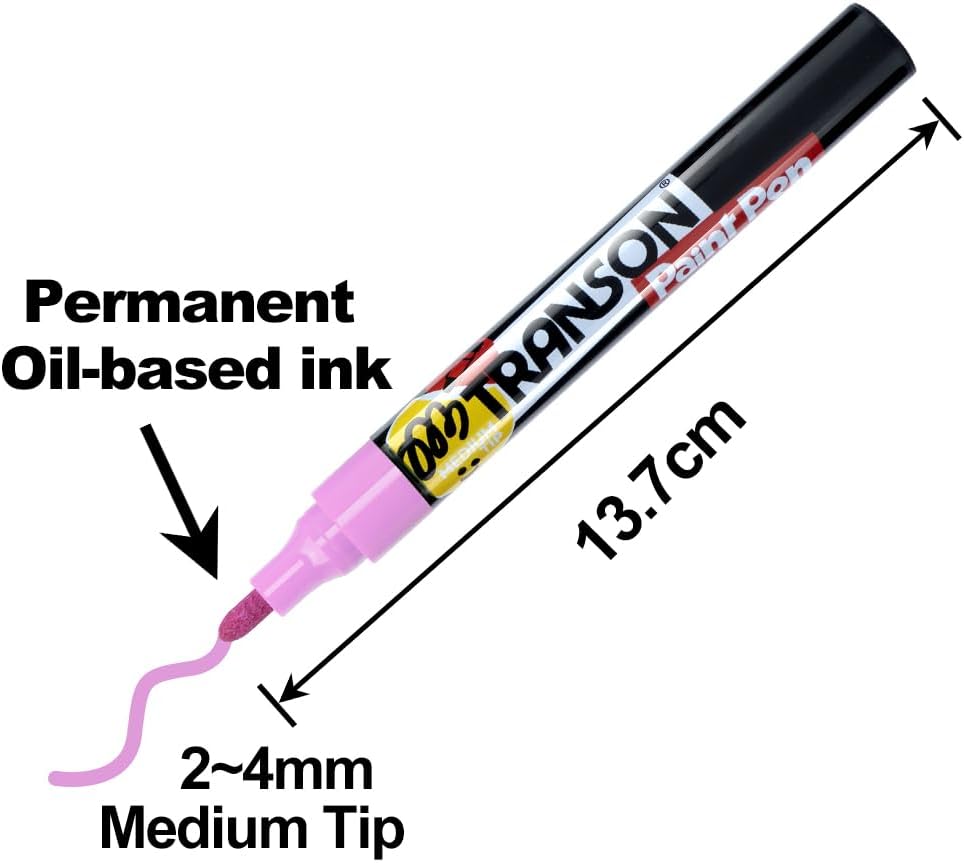 TRANSON 12 Colors Permanent Paint Markers for Fabric Rock Craft Diy Painting Medium Tip Oil Based Waterproof