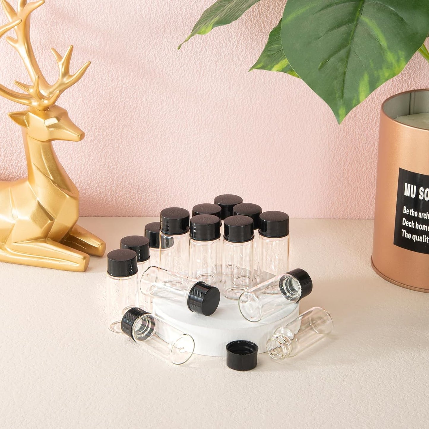 10ml Clear Small Glass Vials 50pcs with Screw Caps(50pcs)