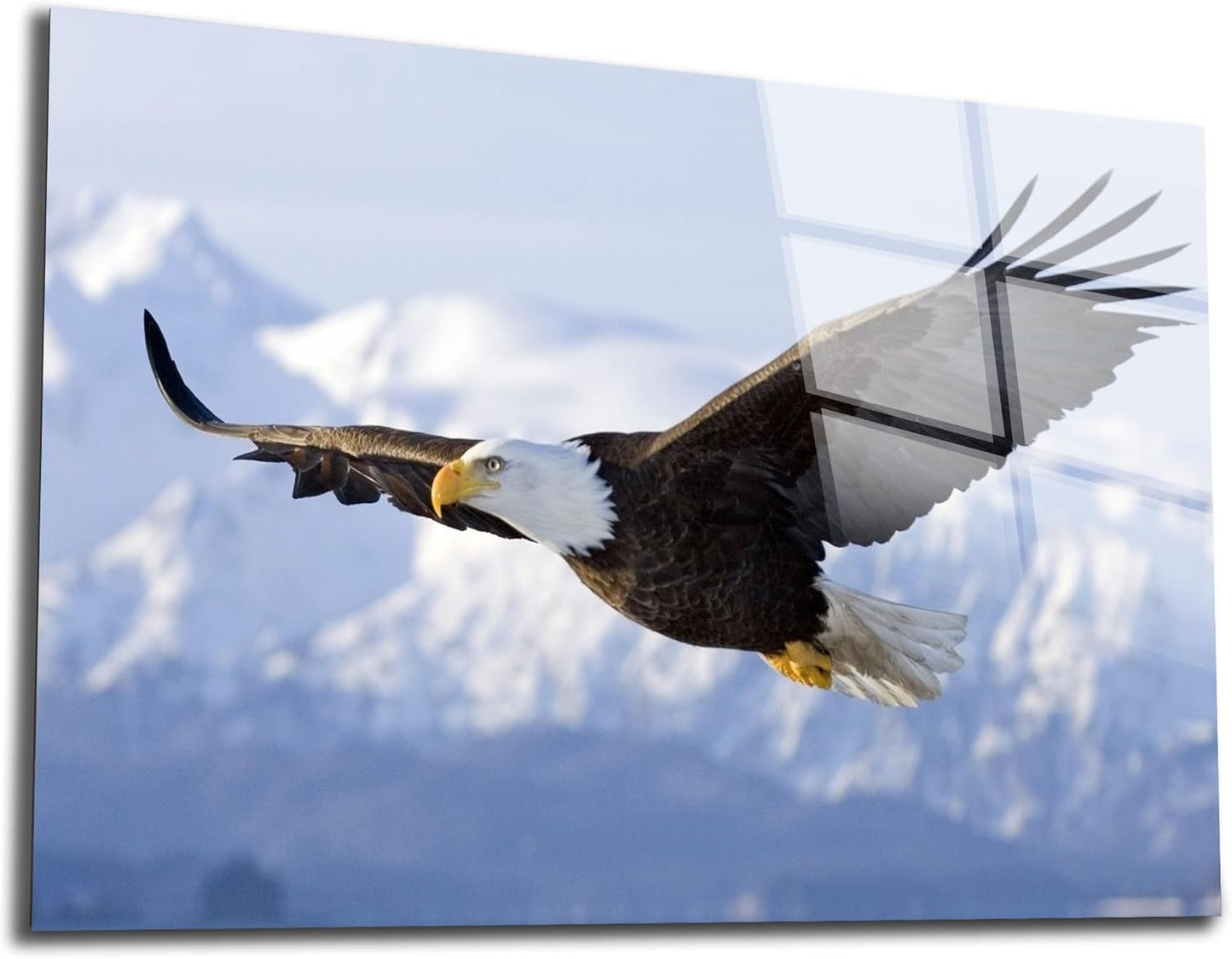 SpiritualHands Eagle Printed Tempered Glass Wall Art Painting for Living Room, Tempered Glass Modern Prints Decor, Large Vivid Color Panel for Bedroom, Kitchen, or Office